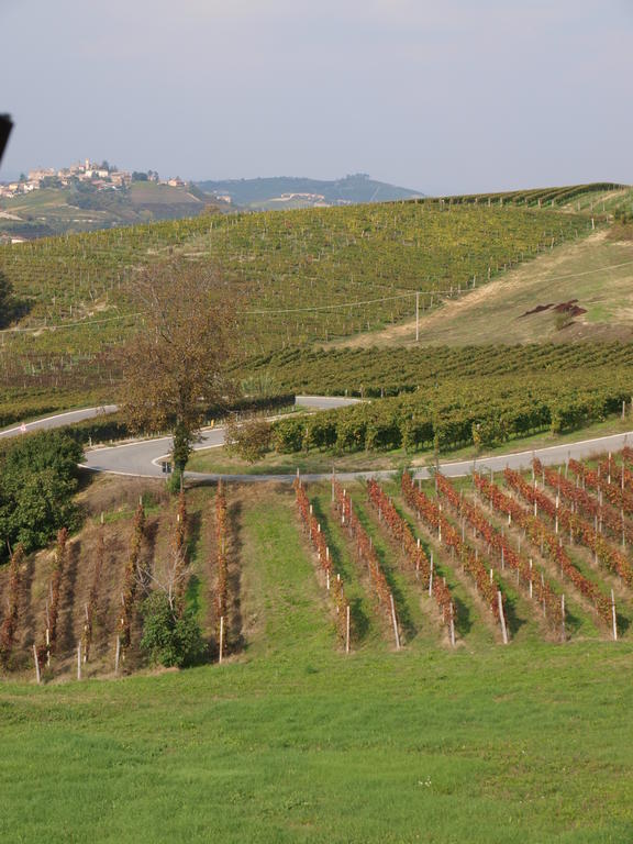 ネヴィーリエ La Terrazza Del Barbaresco Bed & Breakfast エクステリア 写真