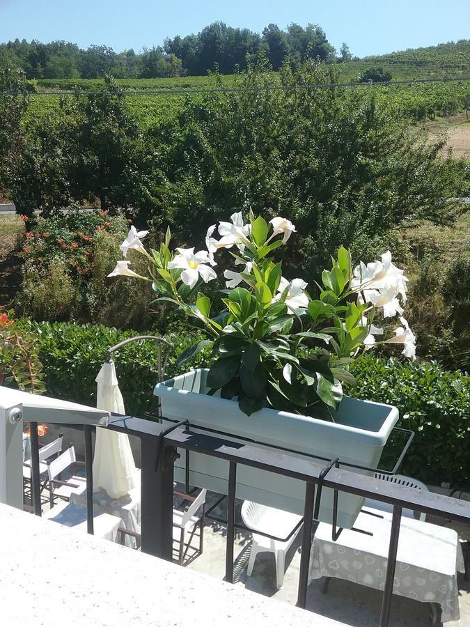 ネヴィーリエ La Terrazza Del Barbaresco Bed & Breakfast エクステリア 写真