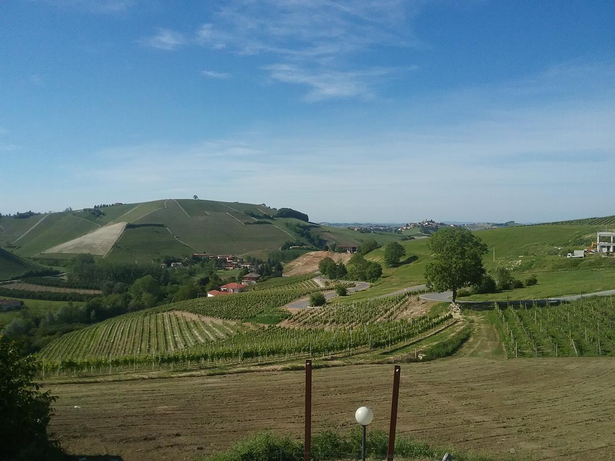 ネヴィーリエ La Terrazza Del Barbaresco Bed & Breakfast エクステリア 写真