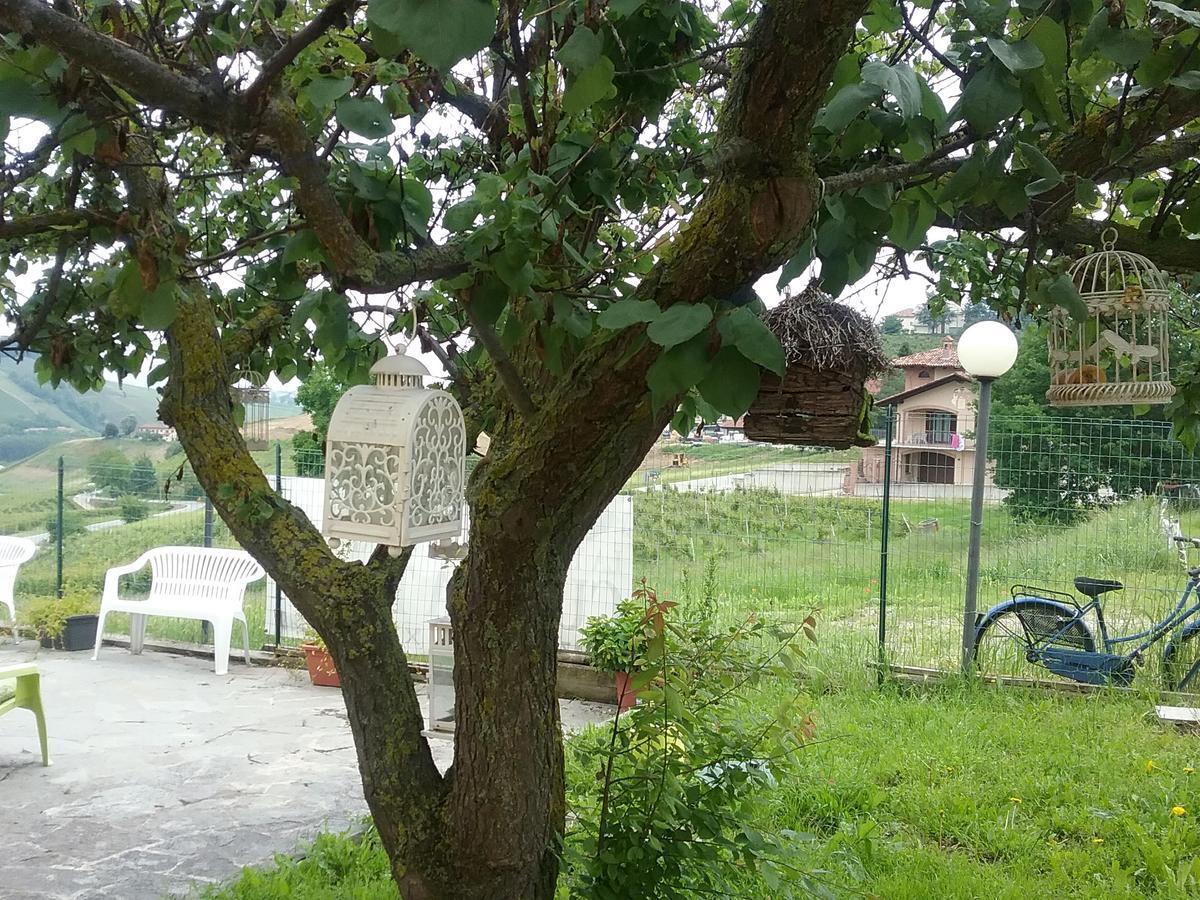 ネヴィーリエ La Terrazza Del Barbaresco Bed & Breakfast エクステリア 写真